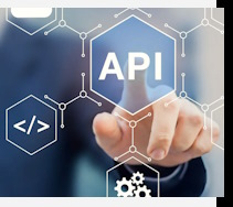 Услуги Разработка IT решений в Большой Камне